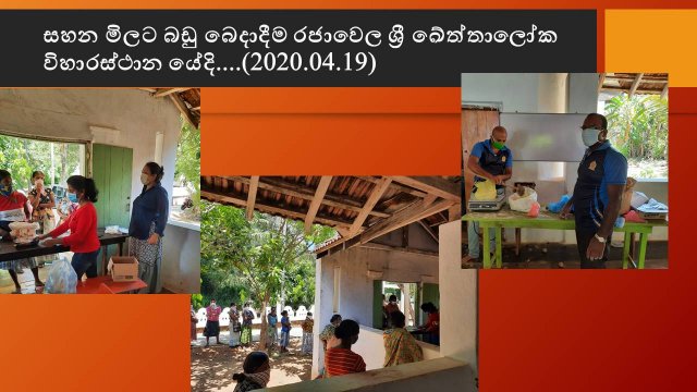 covid19 related works