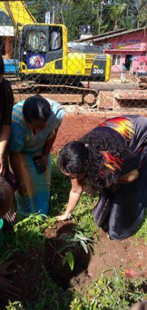 planting2